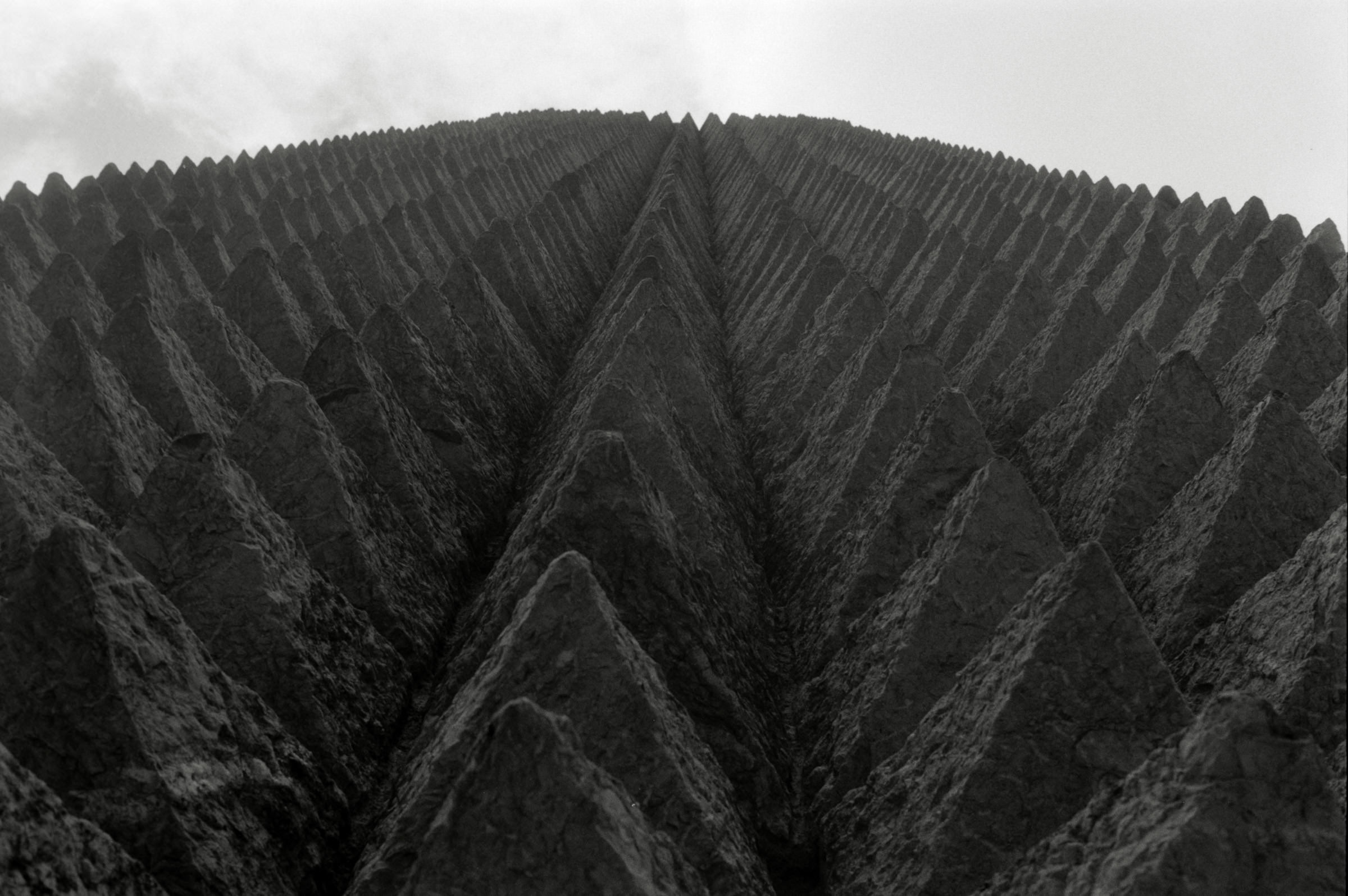 AHP F1995 05 012 sc240827 img03 NLP